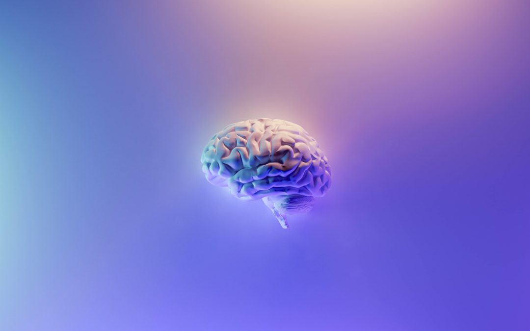 Neuromarketing – Hokuspokus oder praxistaugliche Wissenschaft?