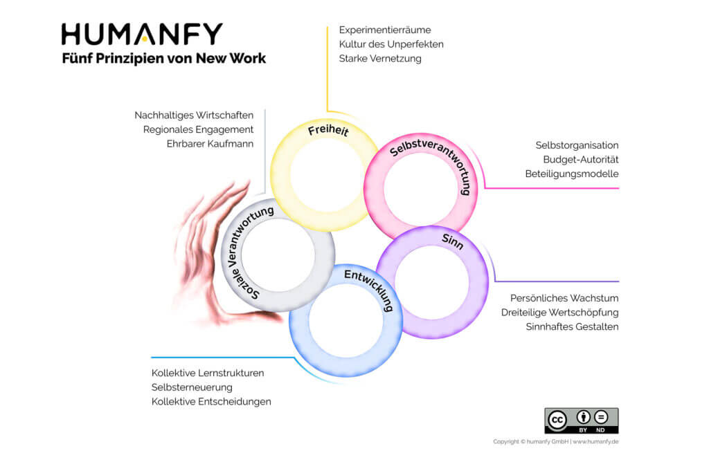 Die 5 Prinzipien von New Work aus der New Work Charta von Humanfy